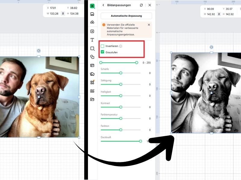 Motiv in Graustufen anzeigen